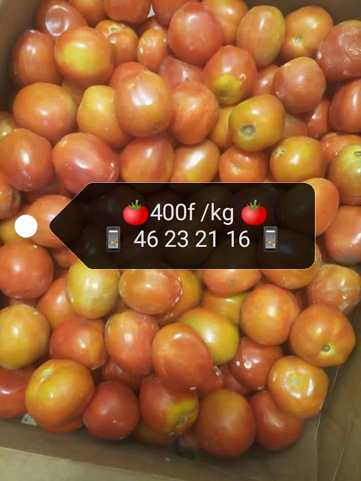Tomates Ferme de Qualité — photo 4