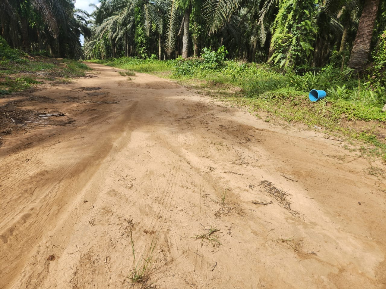 VENTE DE TERRAIN à ELOKATE Bingerville — photo 2