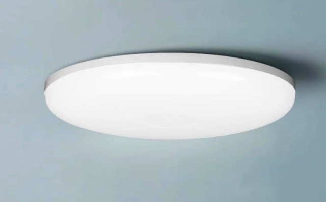 Globe Led 24W