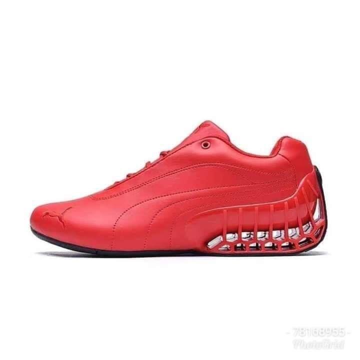 Puma — photo 2