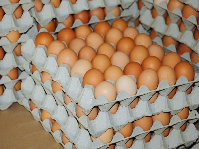 Plaquettes d’œufs
