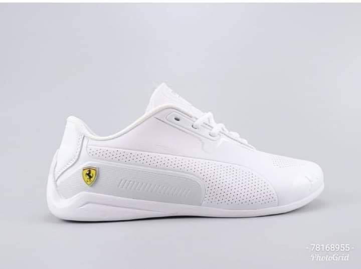 Puma — photo 4