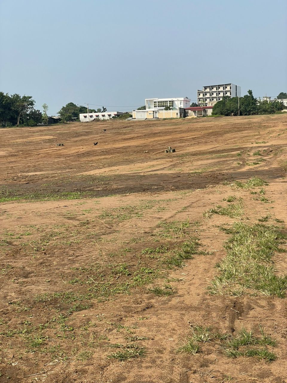 ABADJIN DOUMIN — photo 3