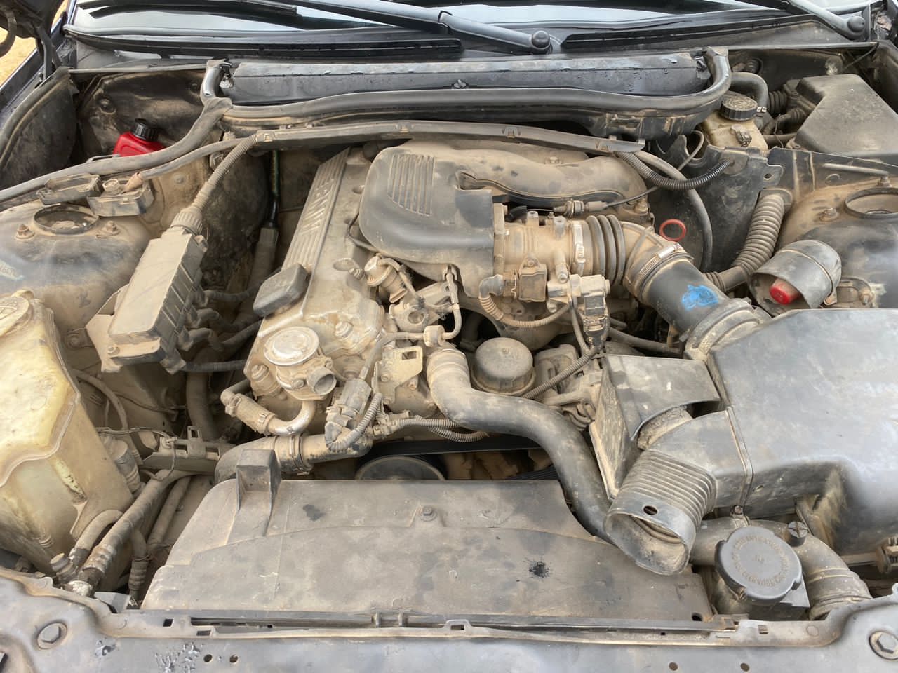 BMW E46 MANUELLE — photo 3