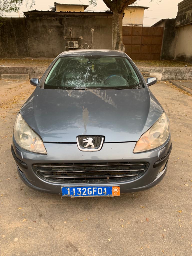PEUGEOT 407