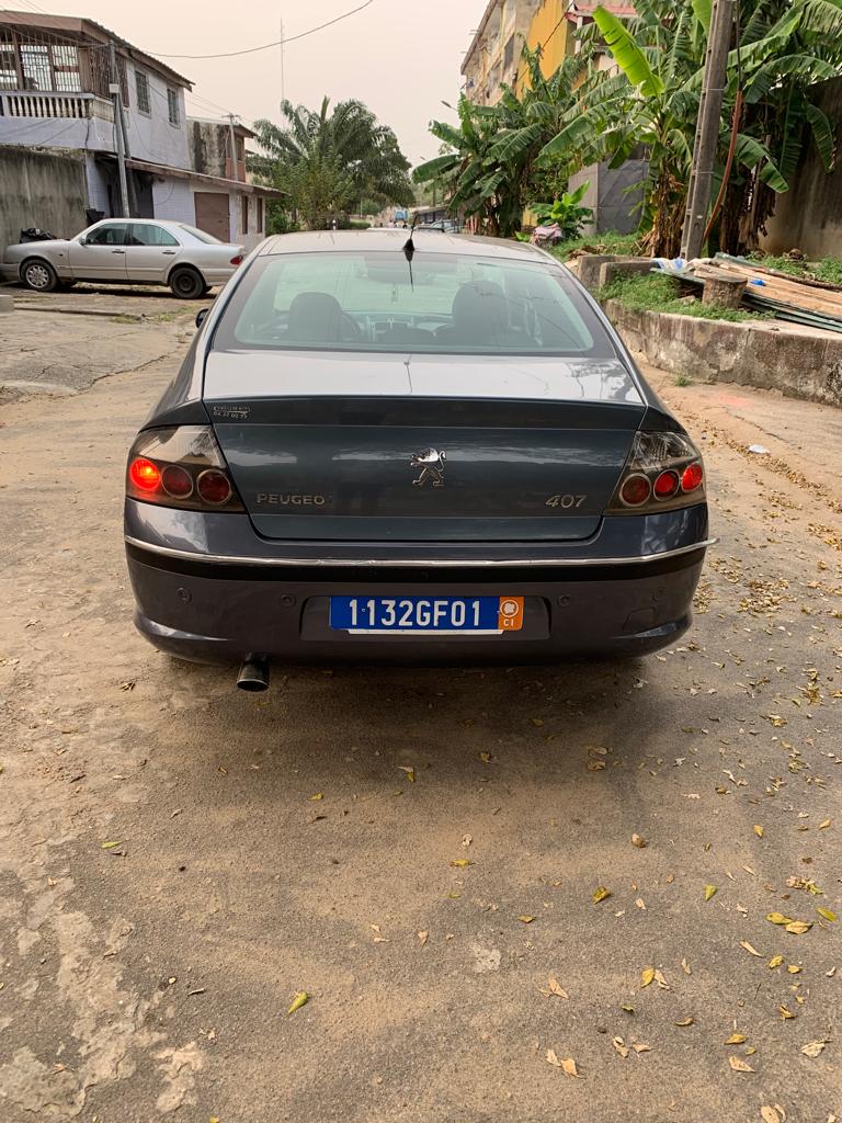 PEUGEOT 407 — photo 6