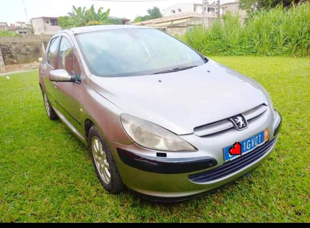 PEUGEOT 307 — photo 4