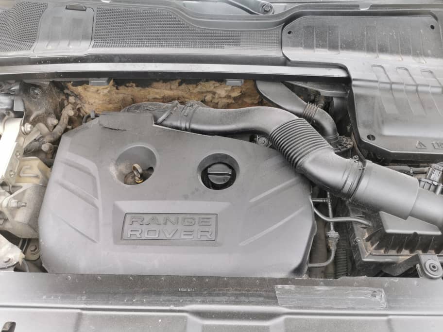 RANGE ROVER EVOQUE 2014 — photo 5