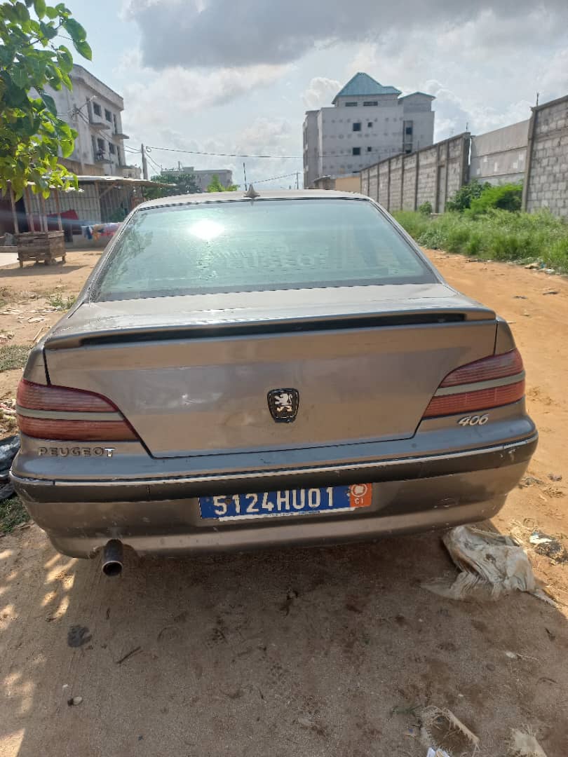 PEUGEOT 406 PHASE 2 HU — photo 5