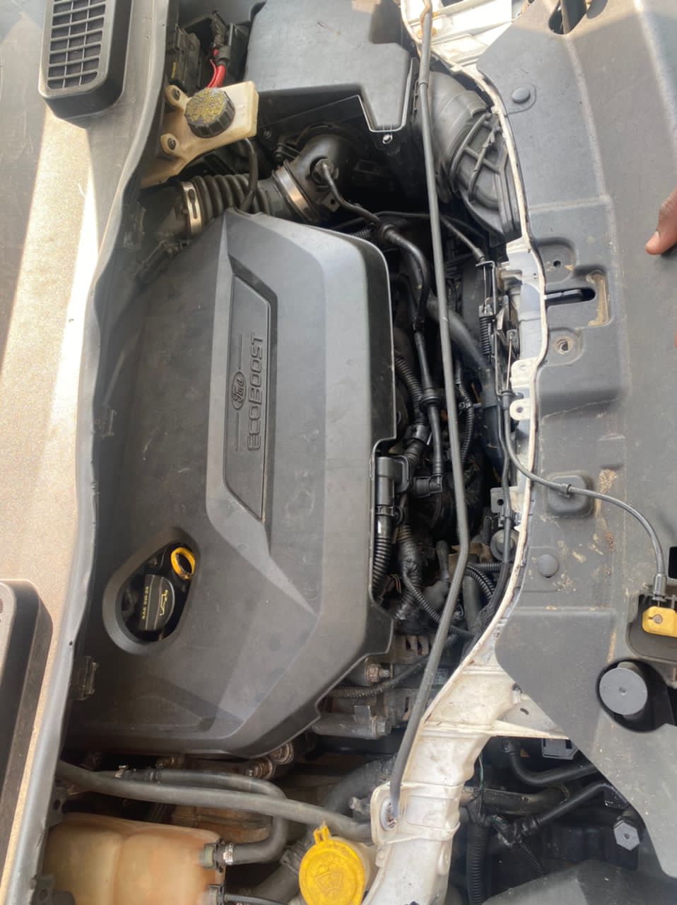 FORD ESCAPE 2015 — photo 2