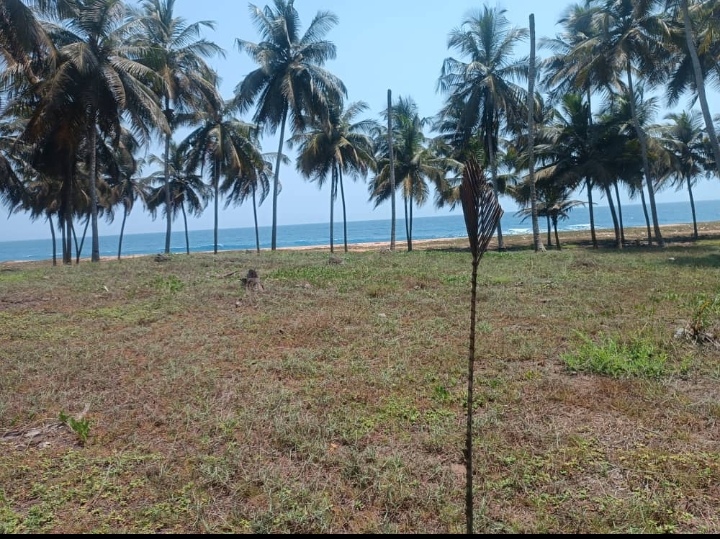 1 HECTARE EN BORDURE DE MER A JACQUEVILLE AVAGOU