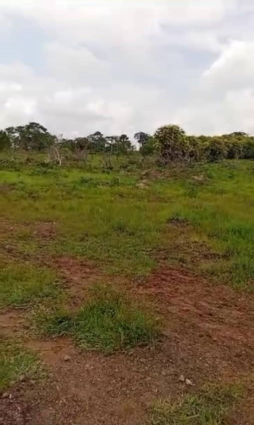 VENTE DE TERRAIN à DALOA pas cher