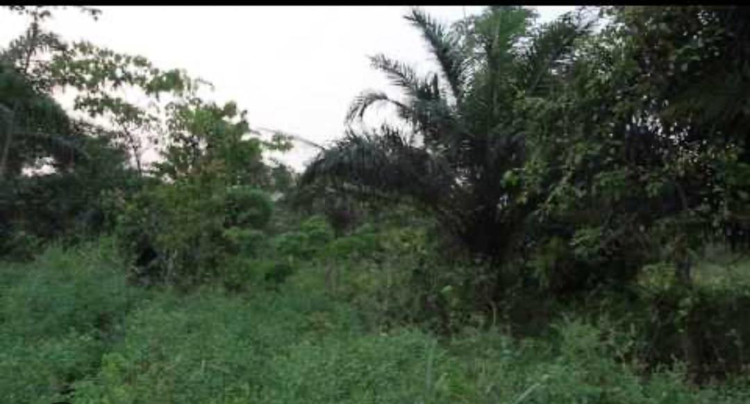 Vente de site agricole — photo 2