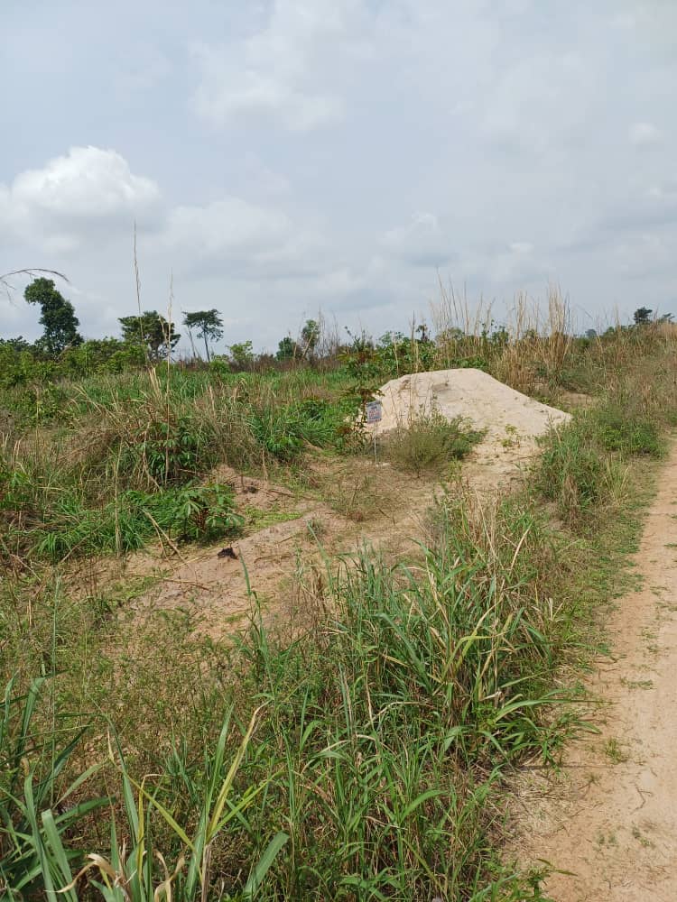PLUSIEURS TERRAINS EN VENTE A YAMOUSSOUKRO — photo 2