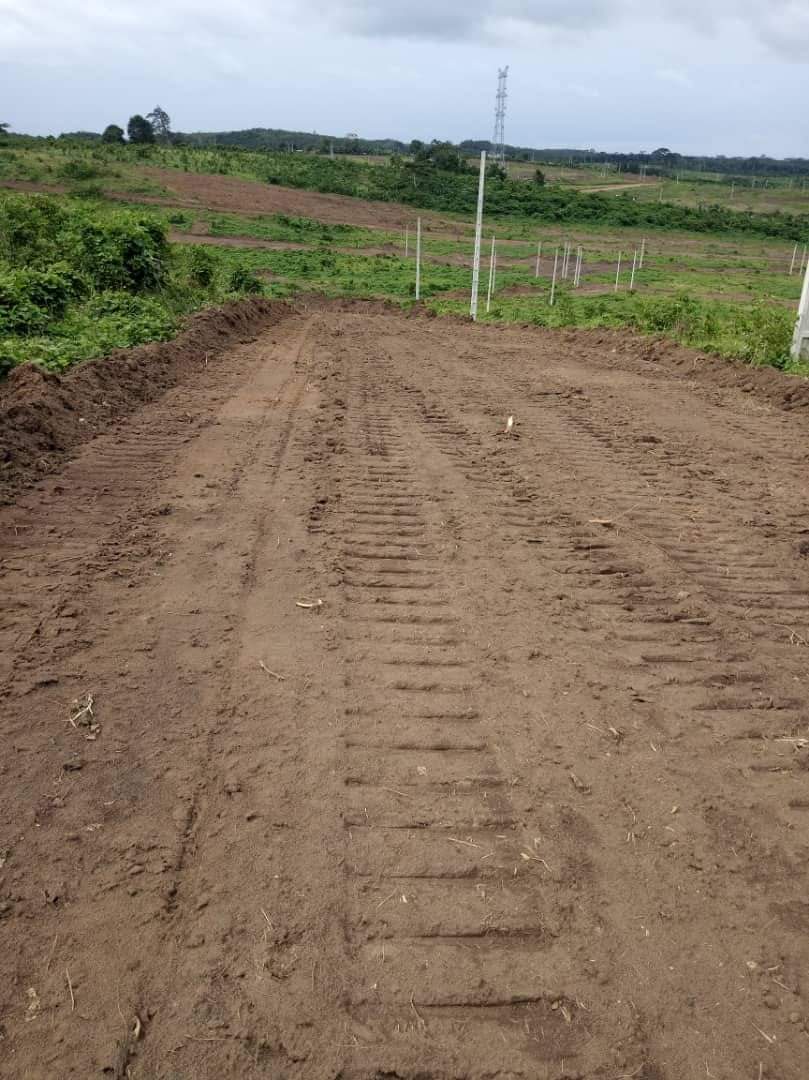 TERRAINS EN VENTE A SONGON — photo 3