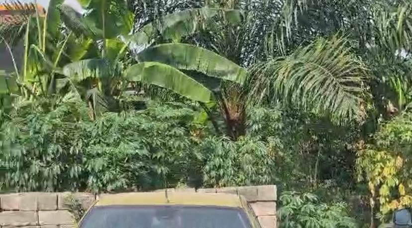TERRRAIN EN VENTE A COCODY ANGRE CHATEAU — photo 2