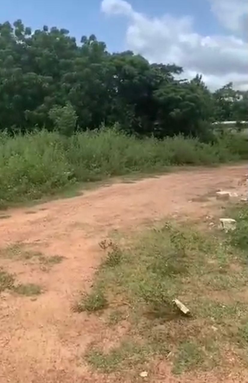 TERRRAIN EN VENTE A YAMOUSSOUKRO — photo 4