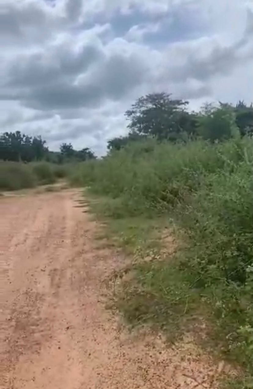 TERRRAIN EN VENTE A YAMOUSSOUKRO — photo 3
