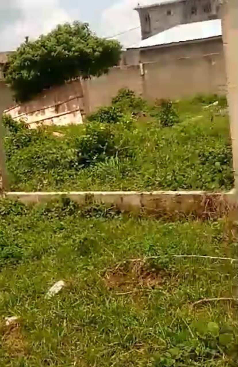 VENTE DE TERRAIN A BINGERVILLE — photo 2