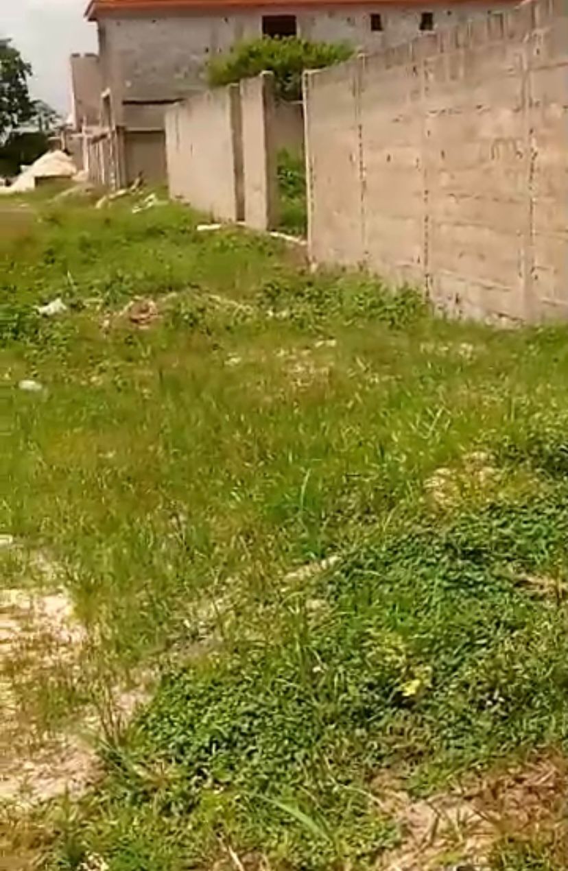 VENTE DE TERRAIN A BINGERVILLE — photo 4