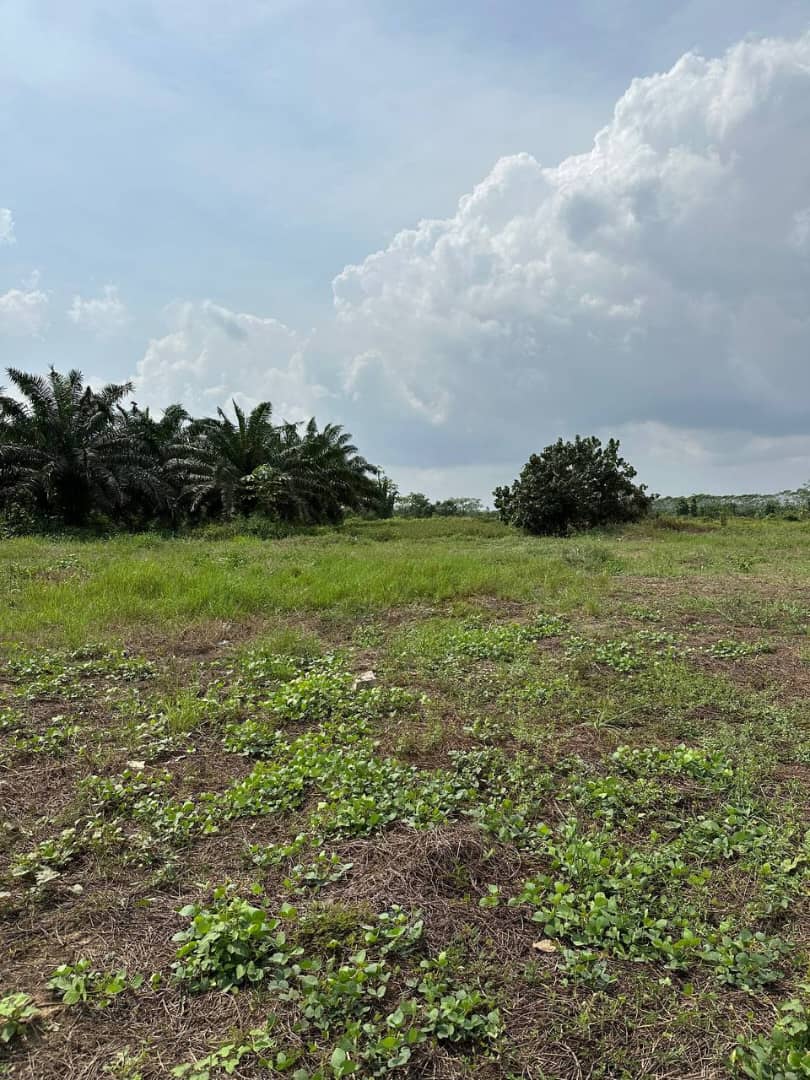 TERRAIN PRET A CONSTRUIRE A MOTOBE — photo 2